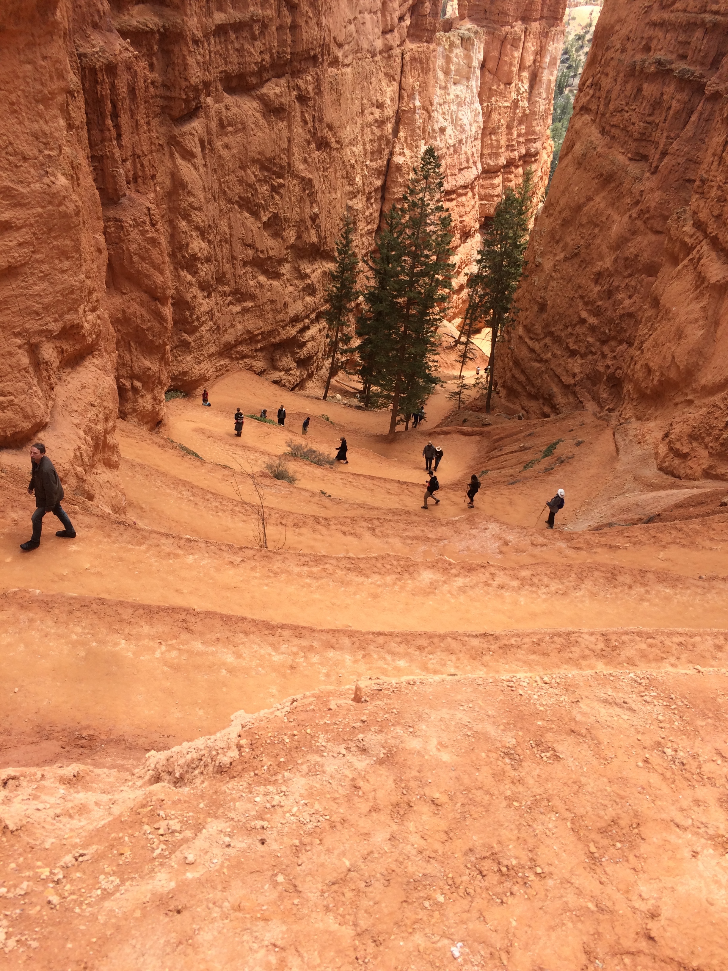 Switchbacks on navajo loop