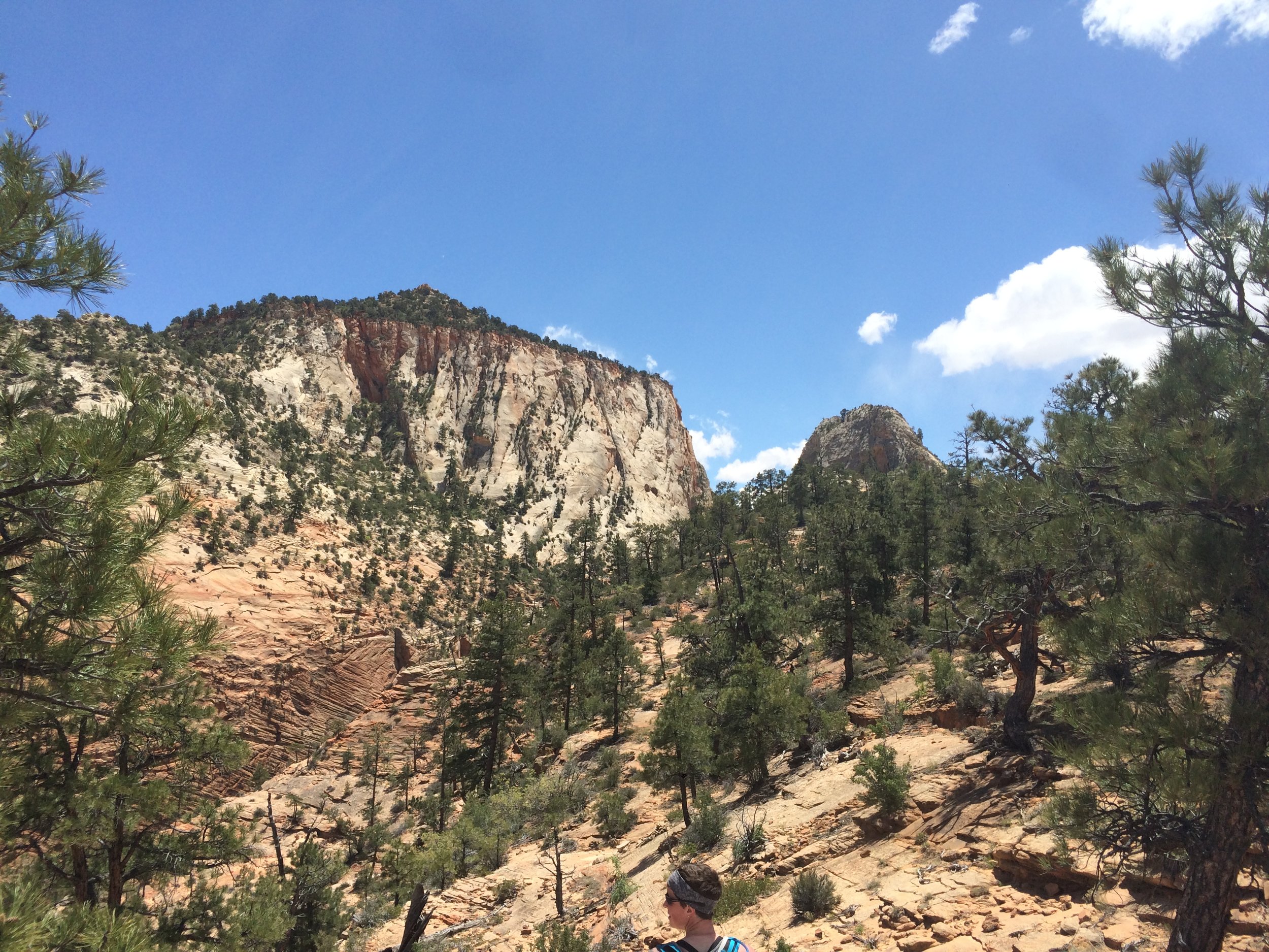 Ultimately, we deemed the mountain in the left of the frame to be nippletop