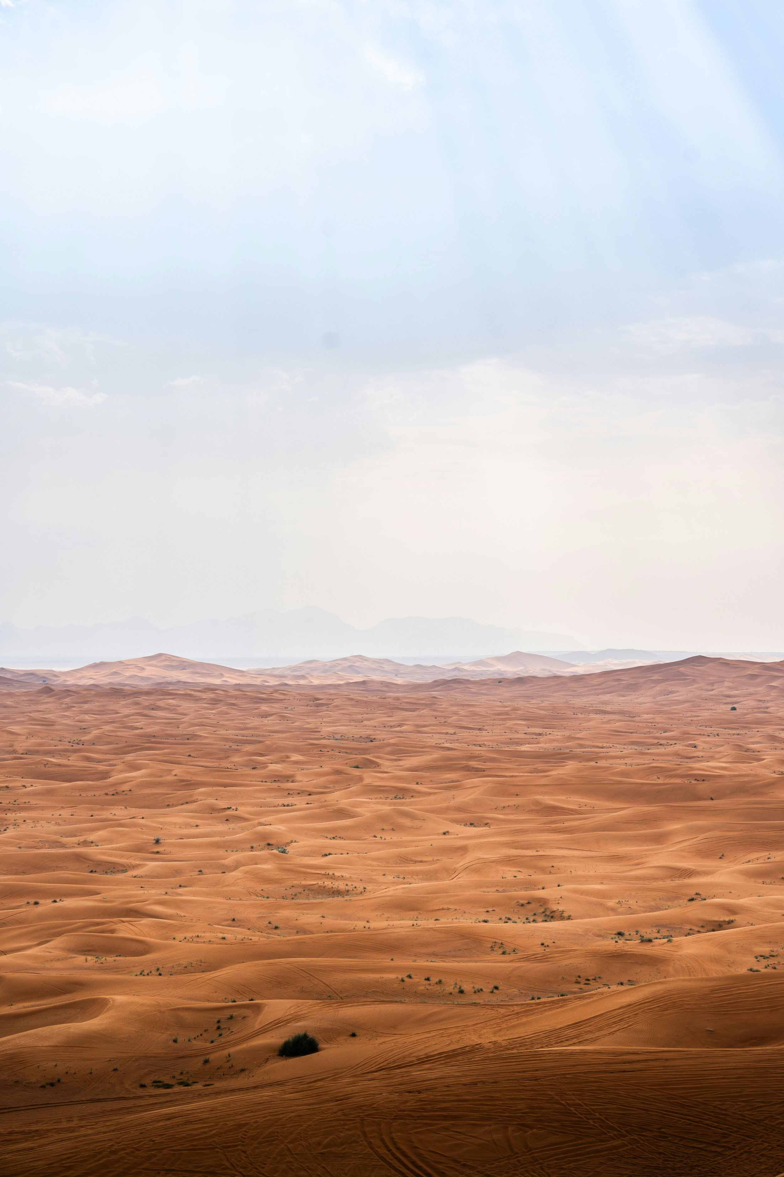 Breaking Free: From a Slave Mindset to Living in True Freedom