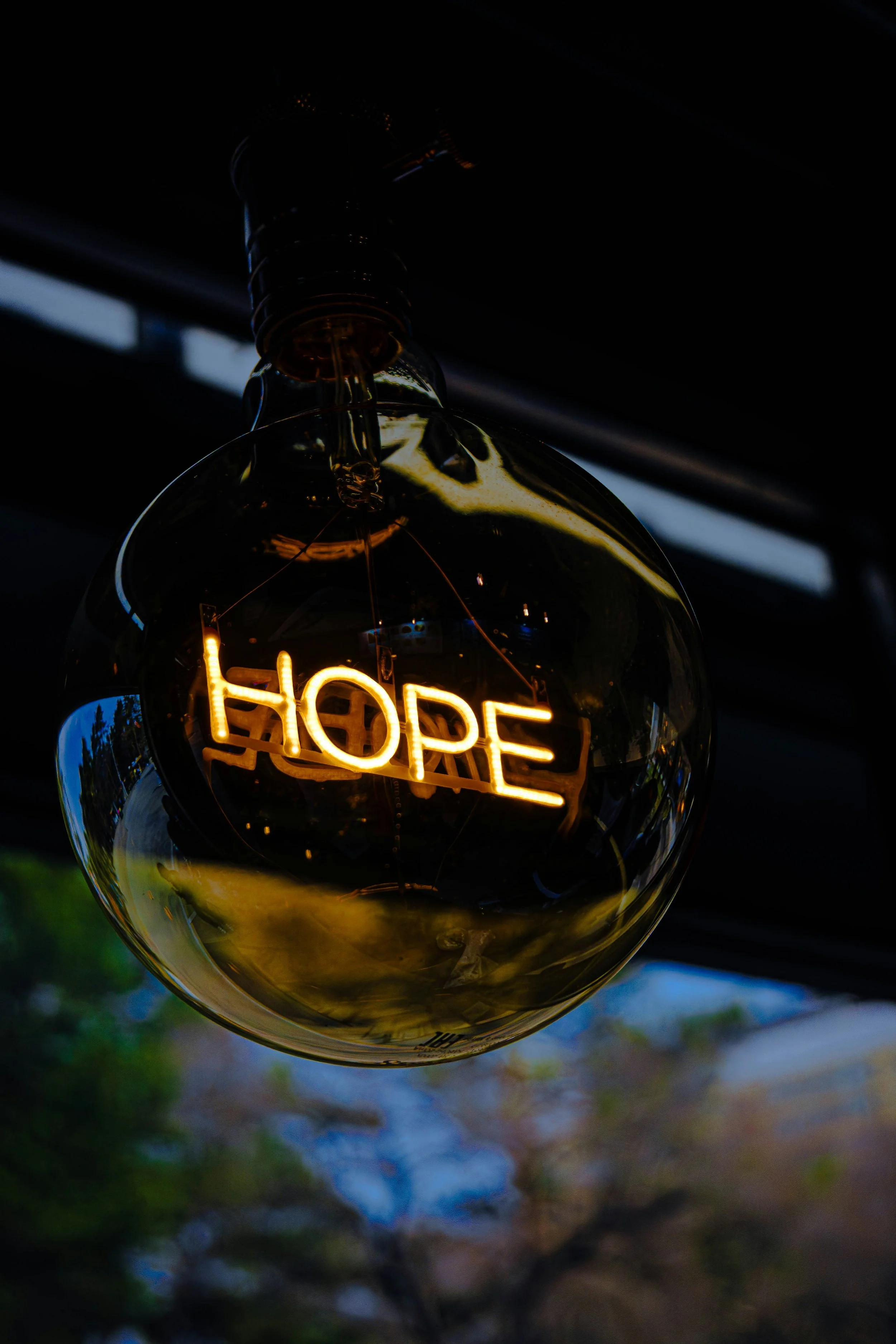 Hope That Holds: Finding God in the Middle of Suffering