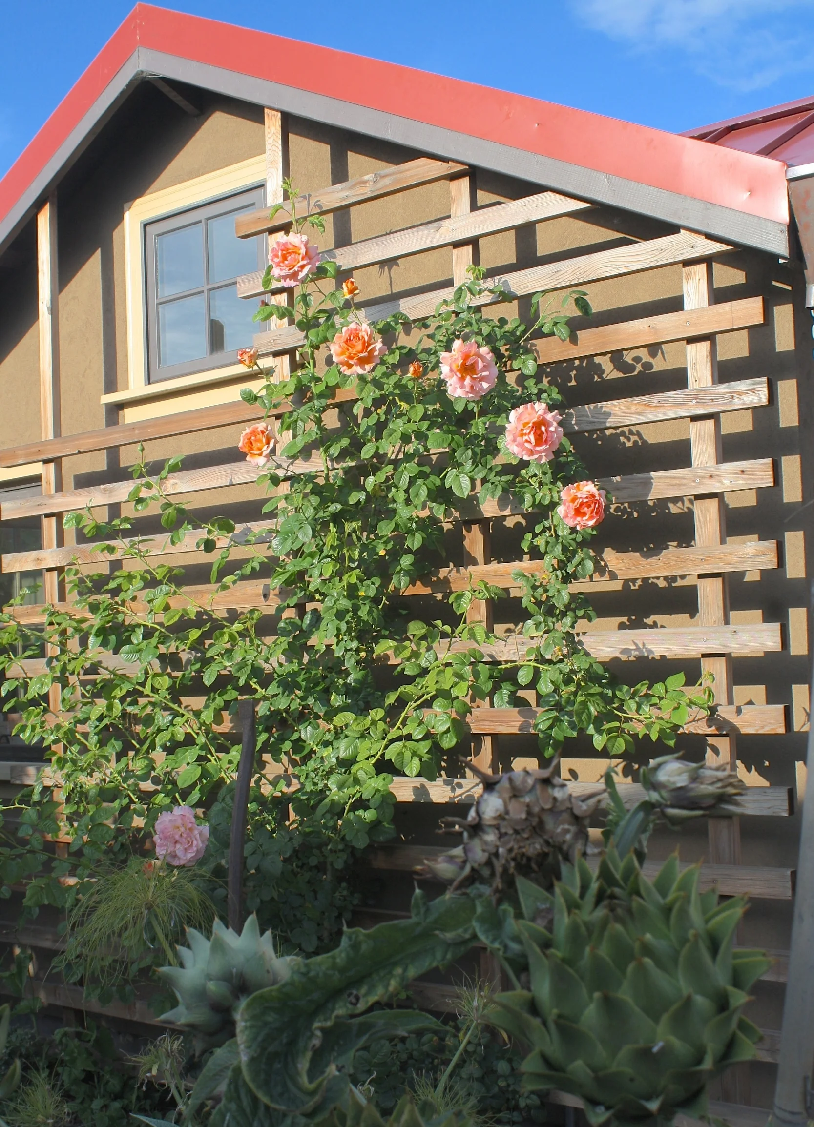 Trellis with rose.jpg