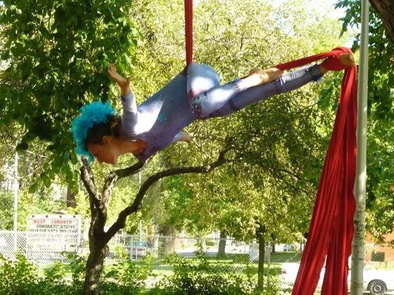 BAE silk artist in tree macgregor playground.jpg