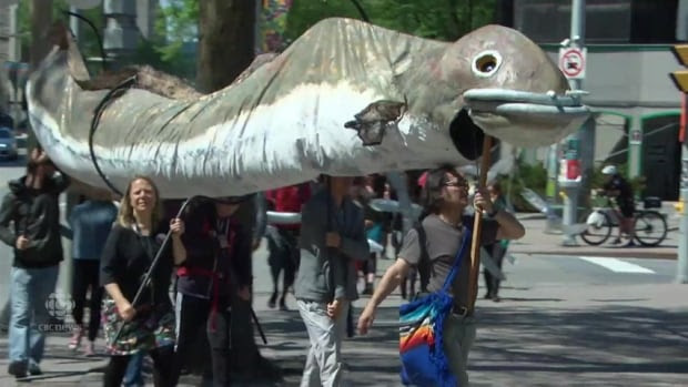The Eel Project Photo.png