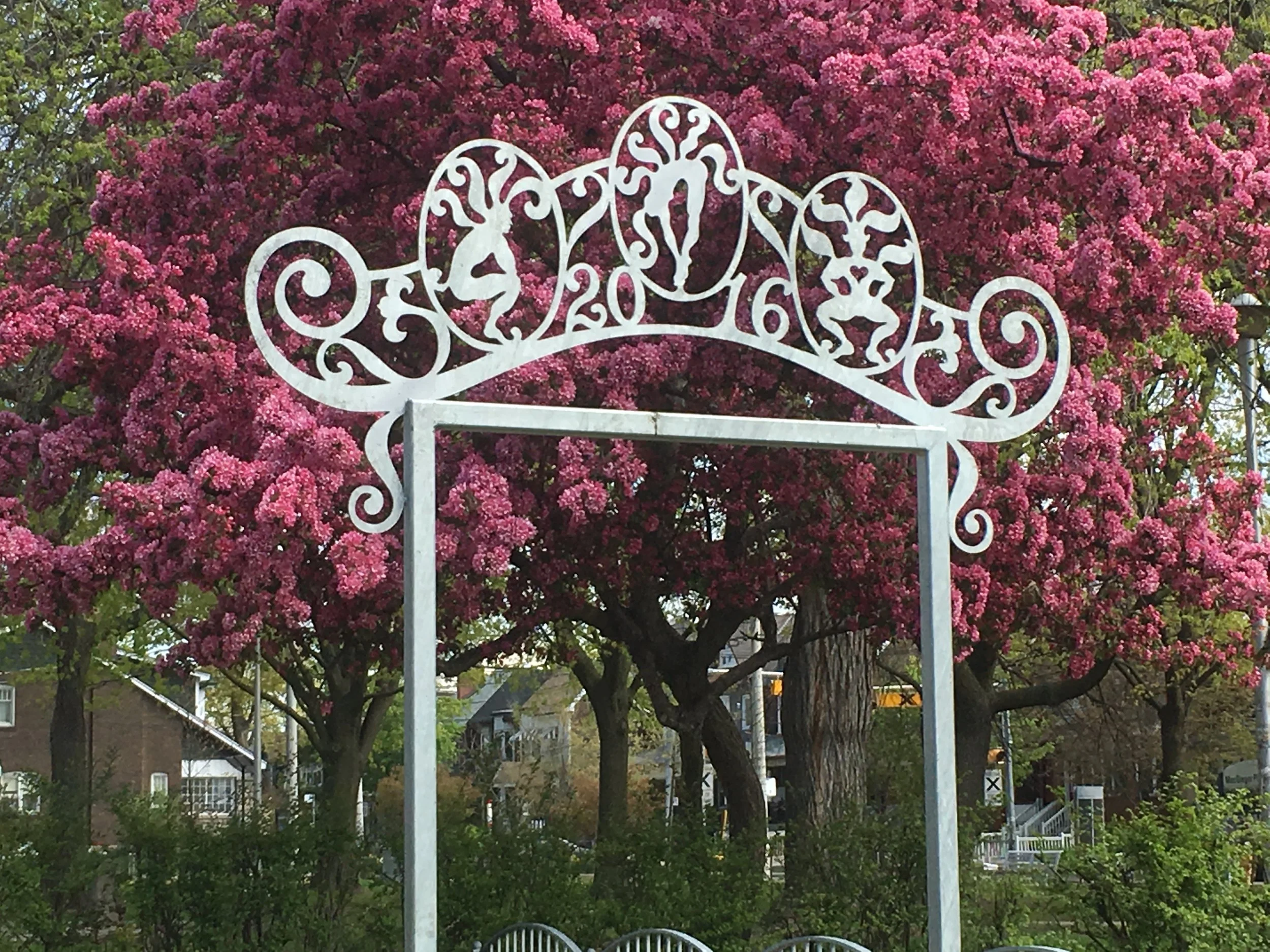 garden arch.jpeg