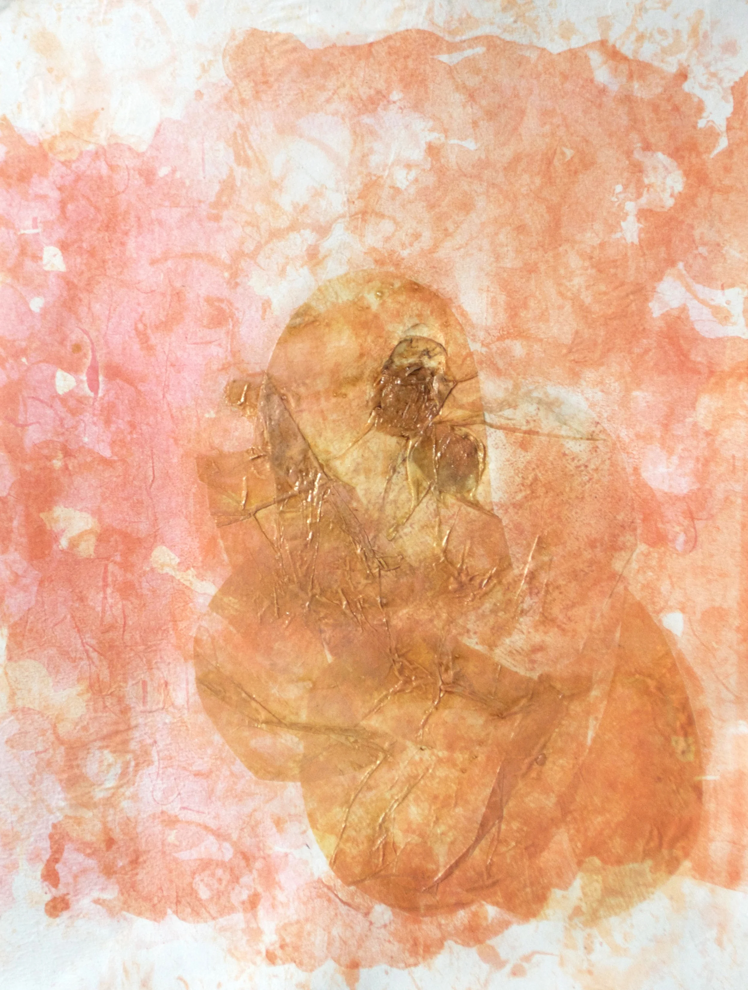 Prints by Anika Kowalik