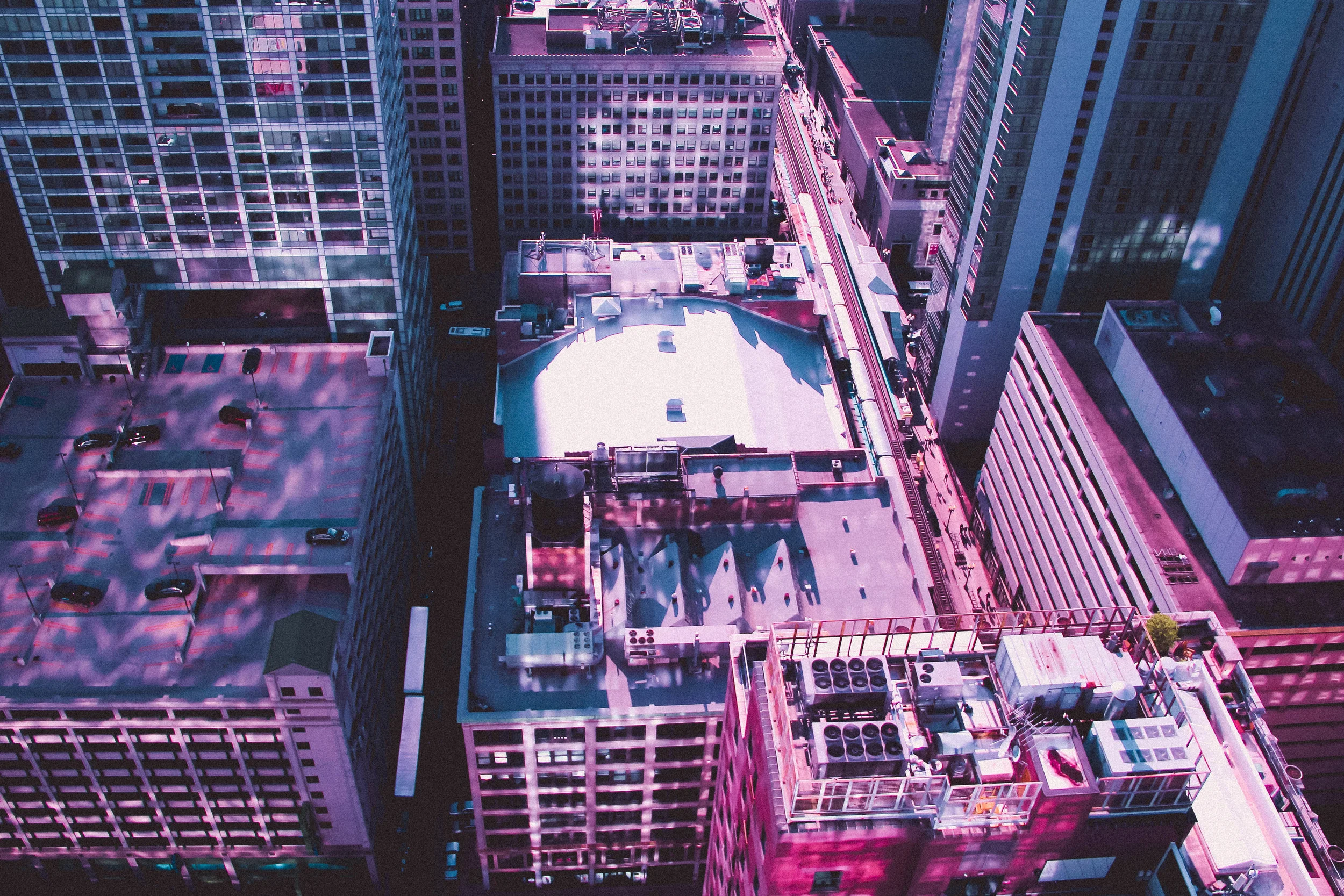 Pink Cityscapes 