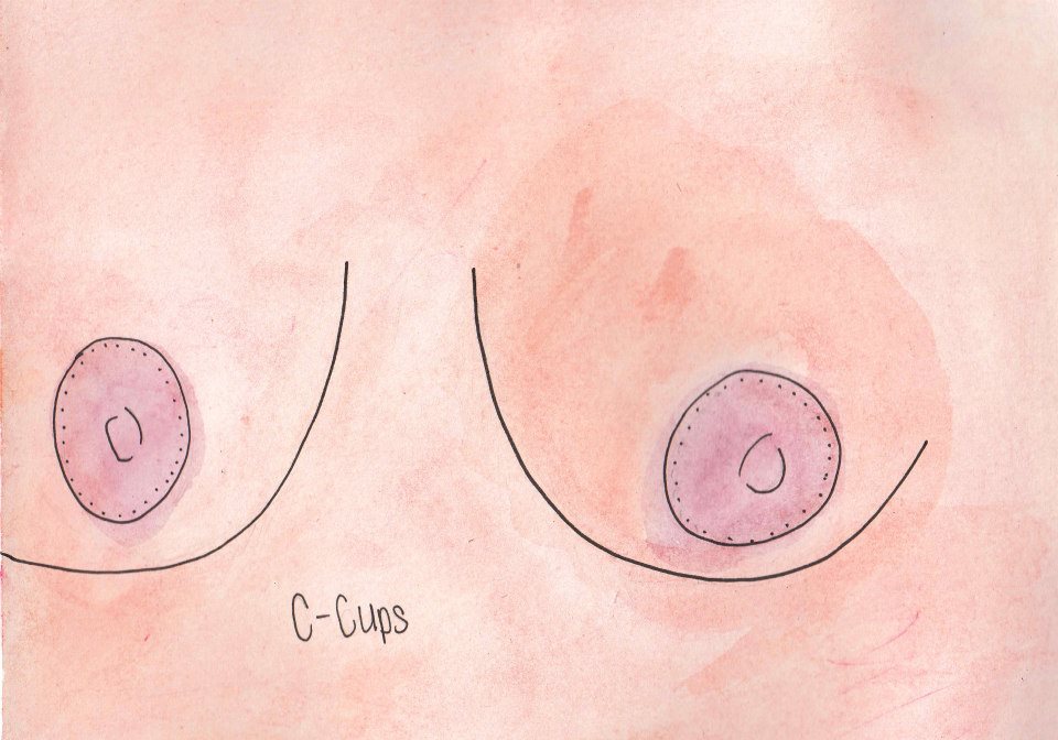 Watercolor by Sarah Sickles