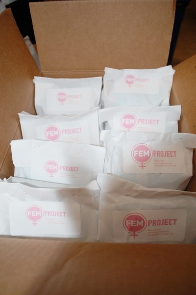 FEM Project Period Packs