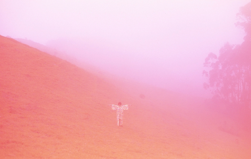 I Dream Of Miki by Nora Lowinsky