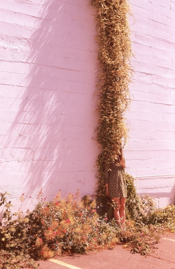 I Planted A City by Nora Lowinsky