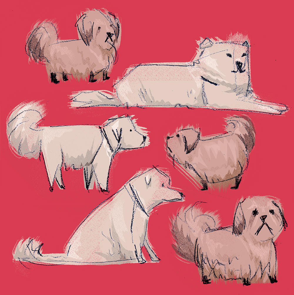 Dogs.jpg