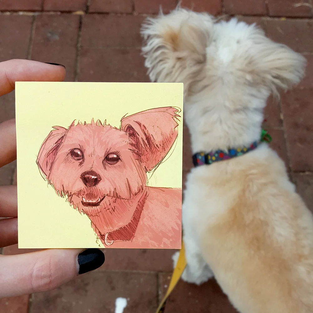 Peaches the Puppy.jpg