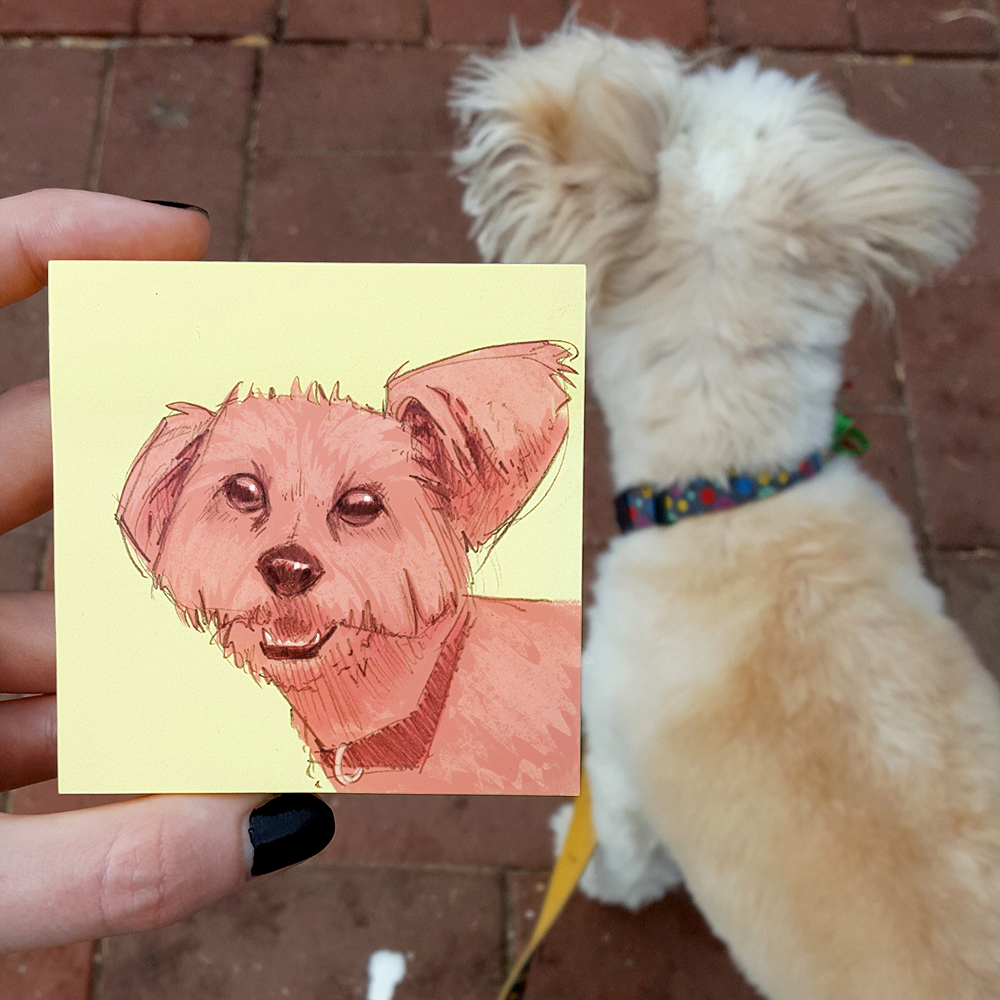 Peaches the Puppy.jpg