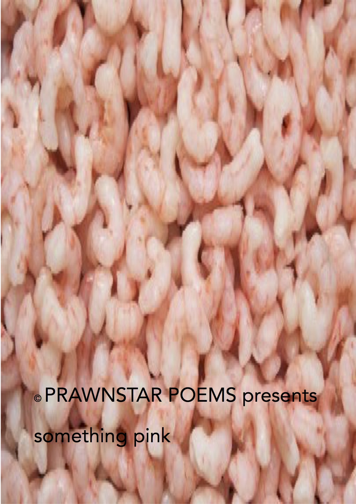prawnstarpoemszine26.jpg