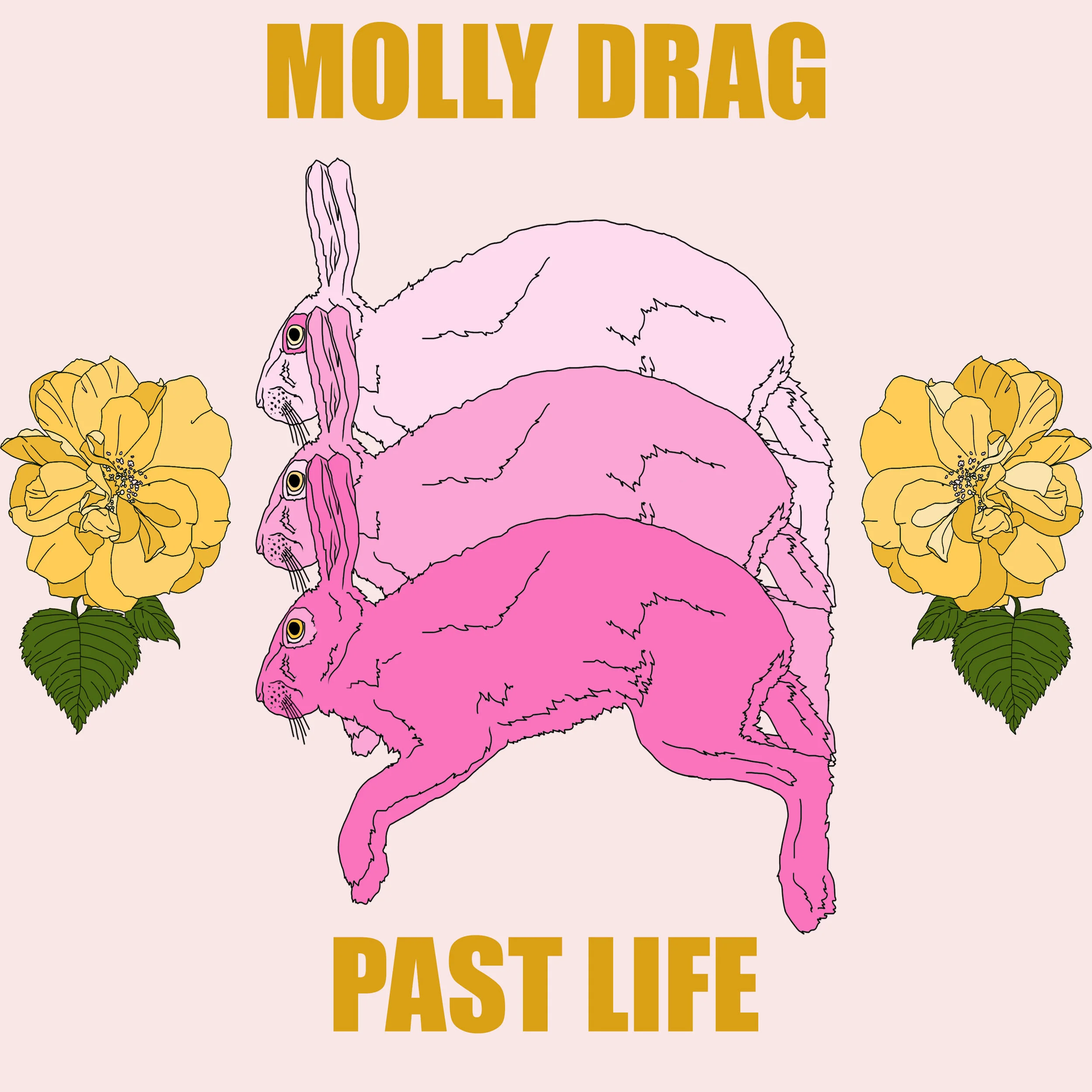 Show Review: Molly Drag & Past Life at Pressed Cafe 24/7/18