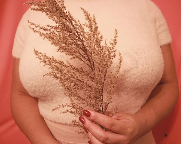 Decolonizing Curves Part II