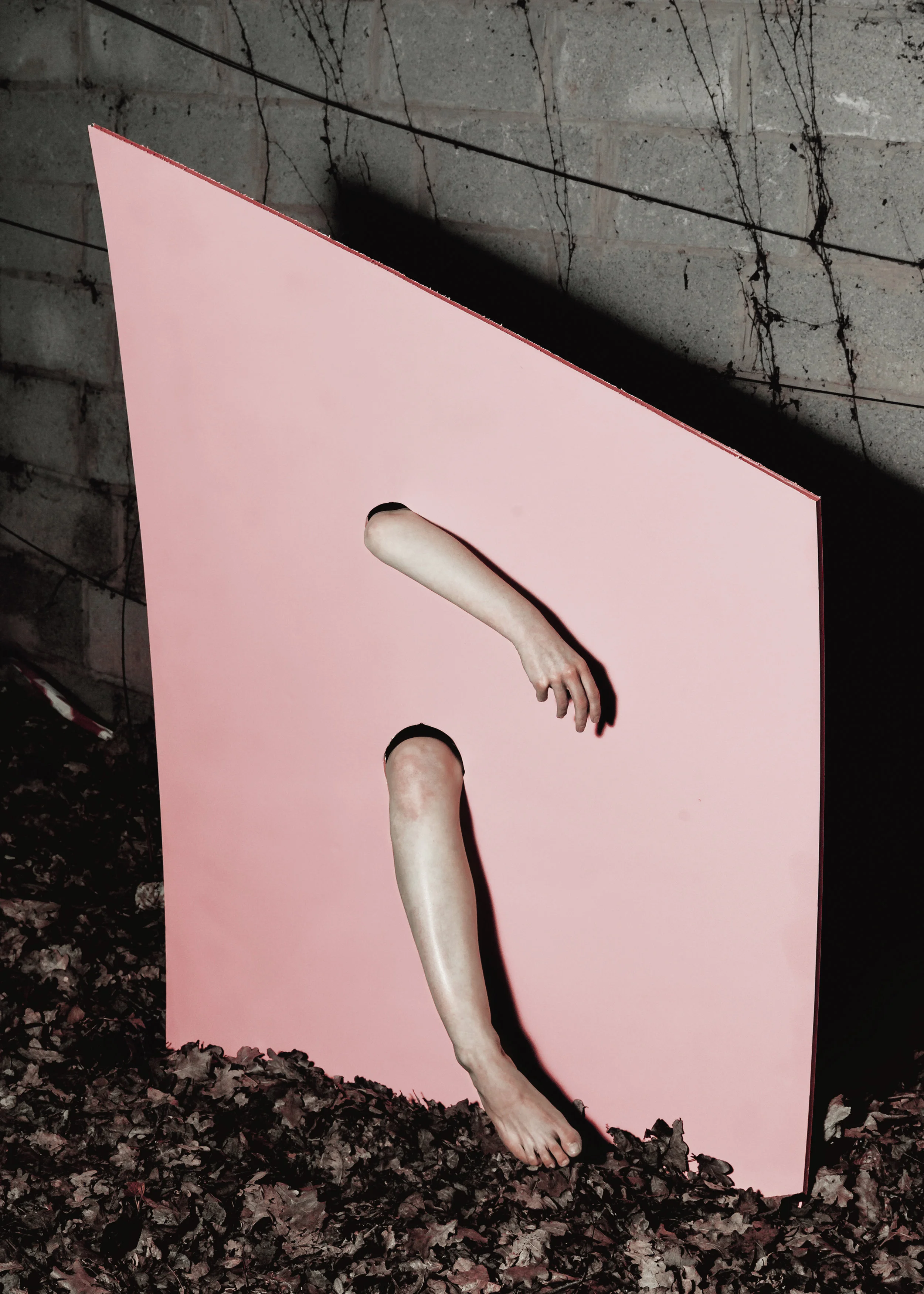 Laurent_Henrion_-3.jpg