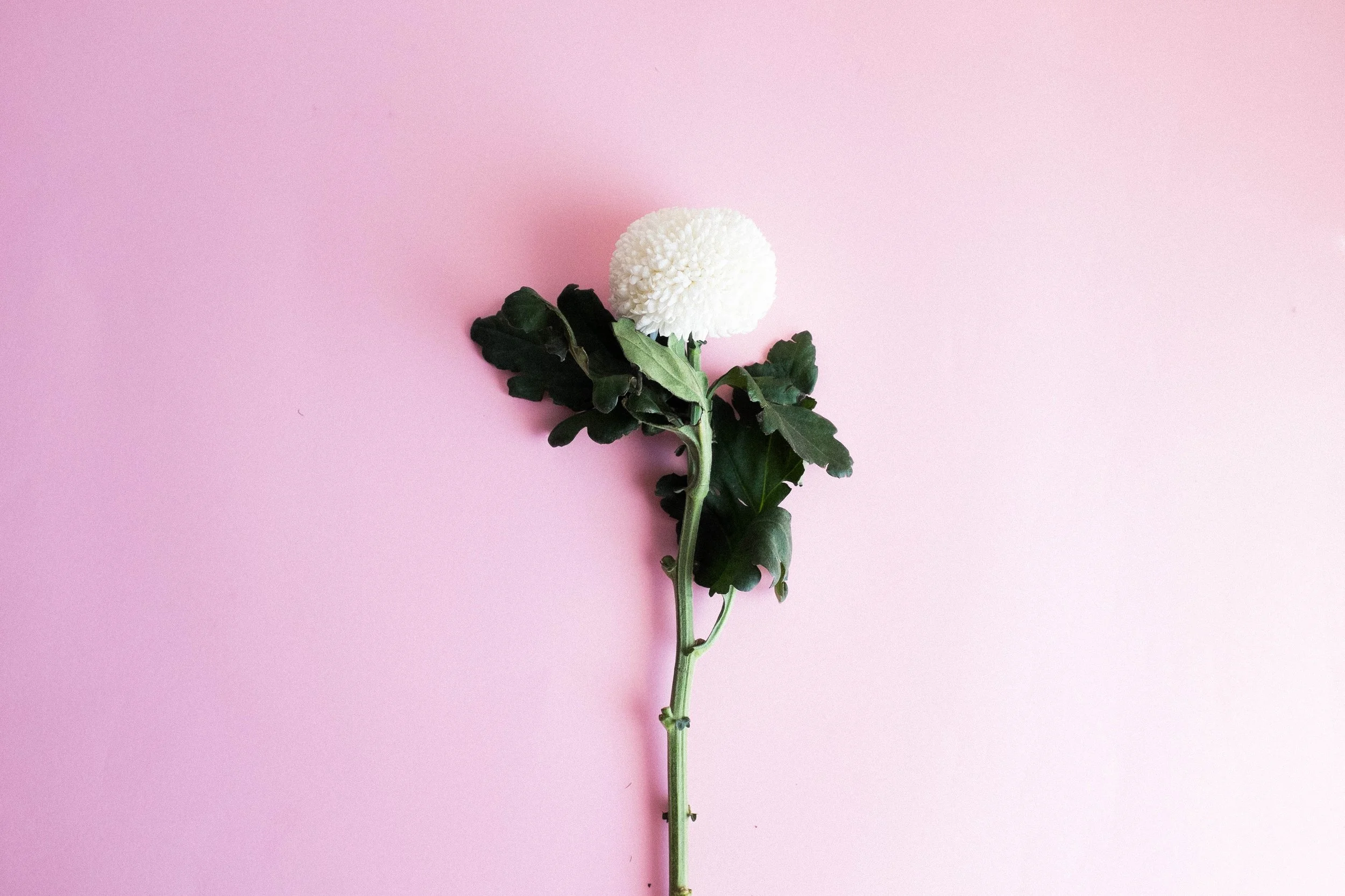 Does Chivalry Need A Resurrection?&nbsp;