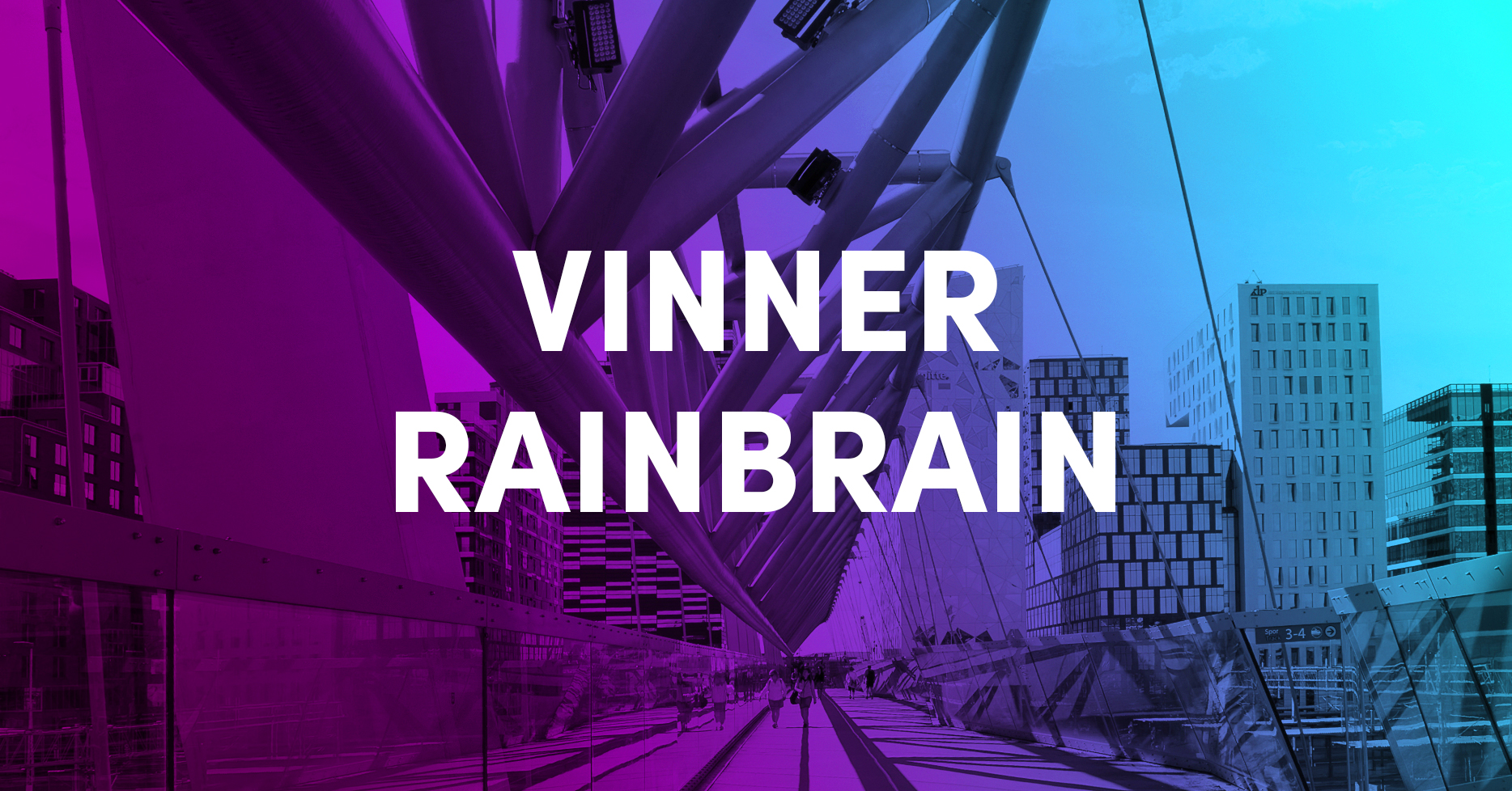 12:30 - RainBrain - The smart blue-green roof
