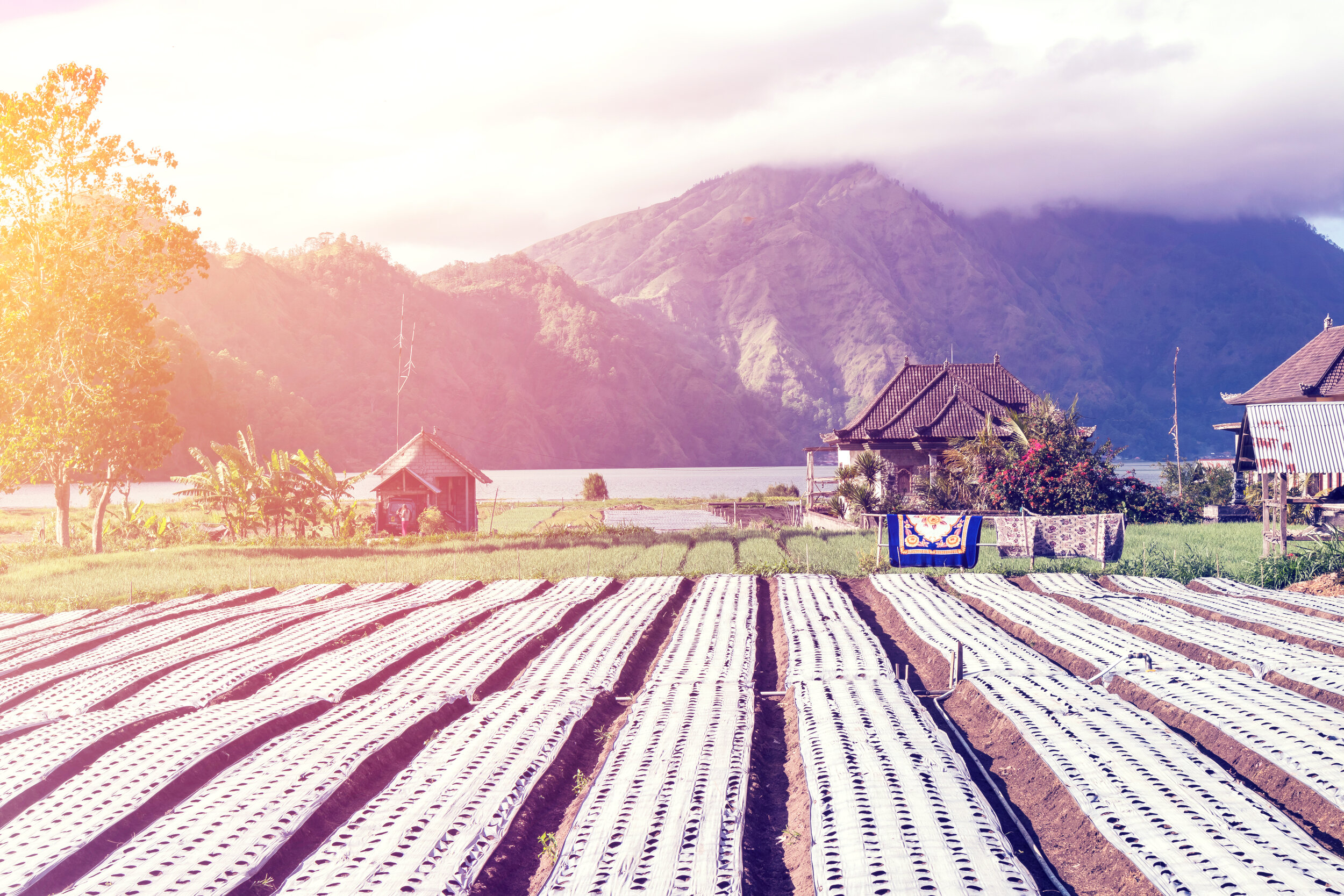 Tenker du bærekraft får du avslag i prisen