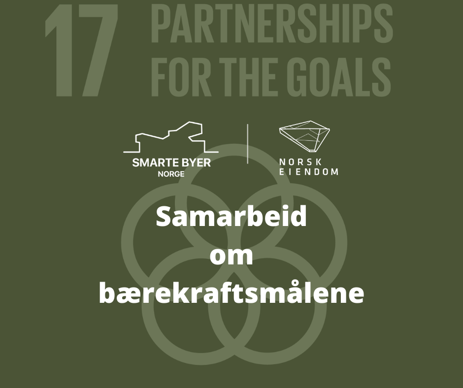 Hvordan samarbeide for å nå bærekraftmålene
