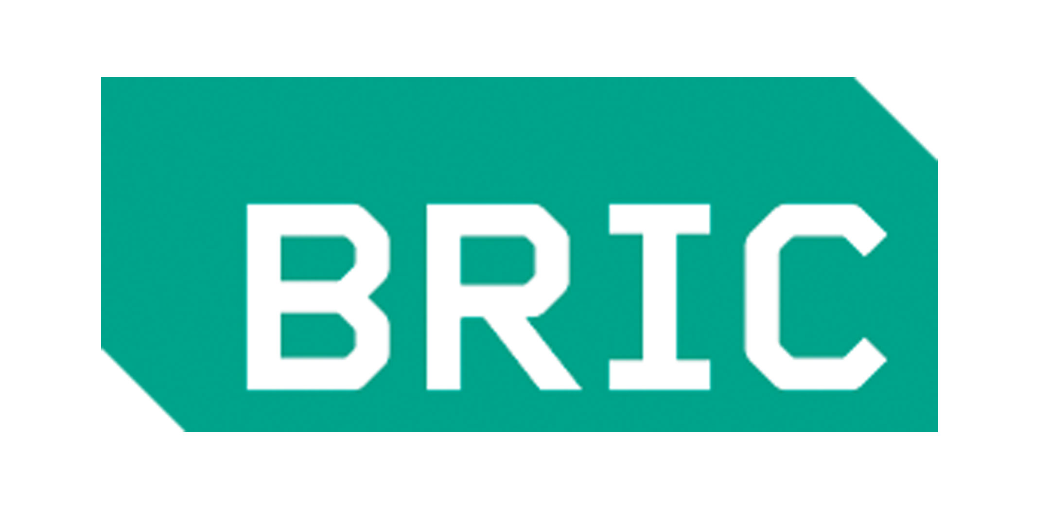 BRIC-Logo-EB-Event-Image_2.jpg