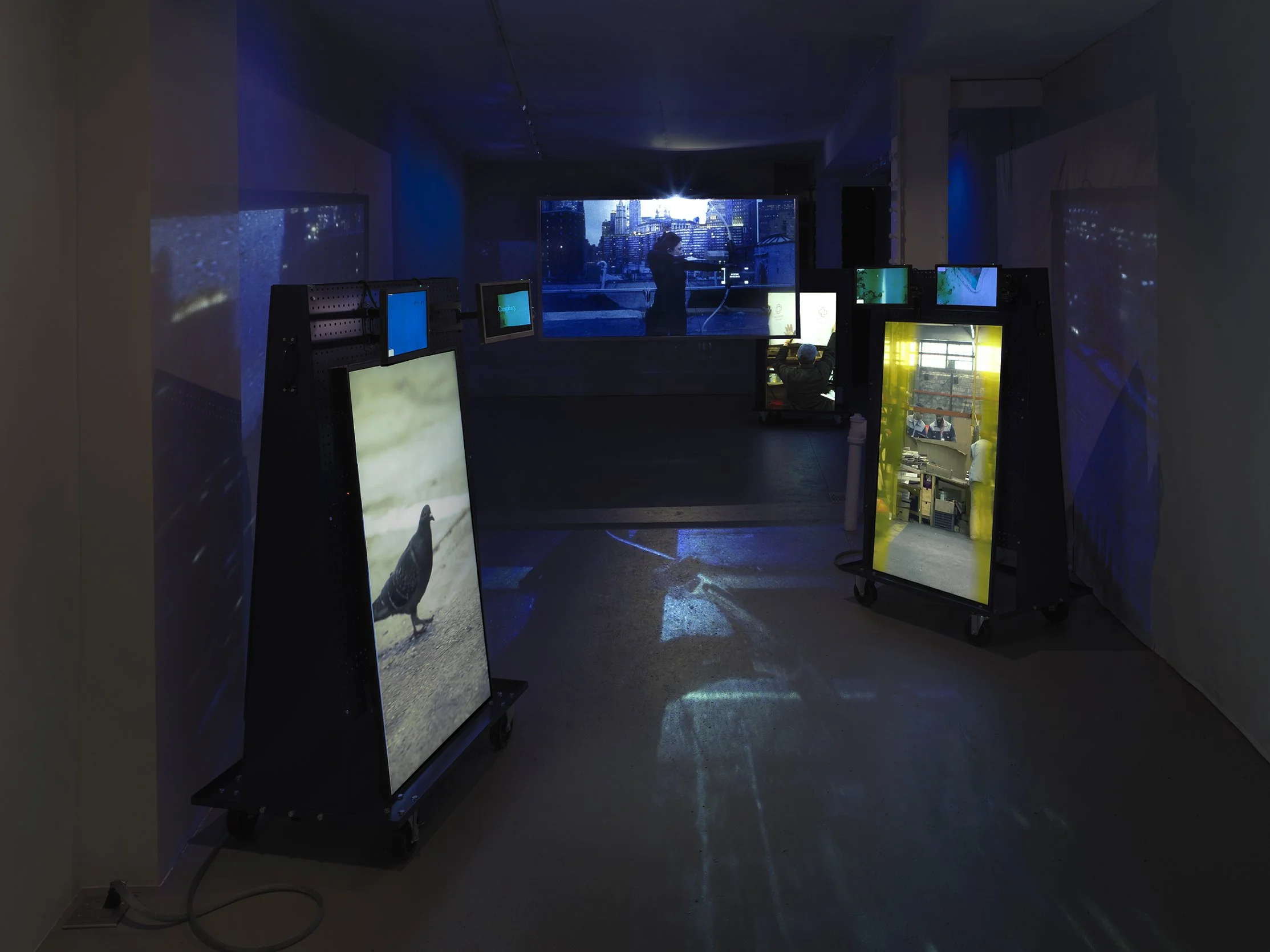 Alison Nguyen_Perforation, Ellipse_Store Front Gallery_01,26_0068.jpg