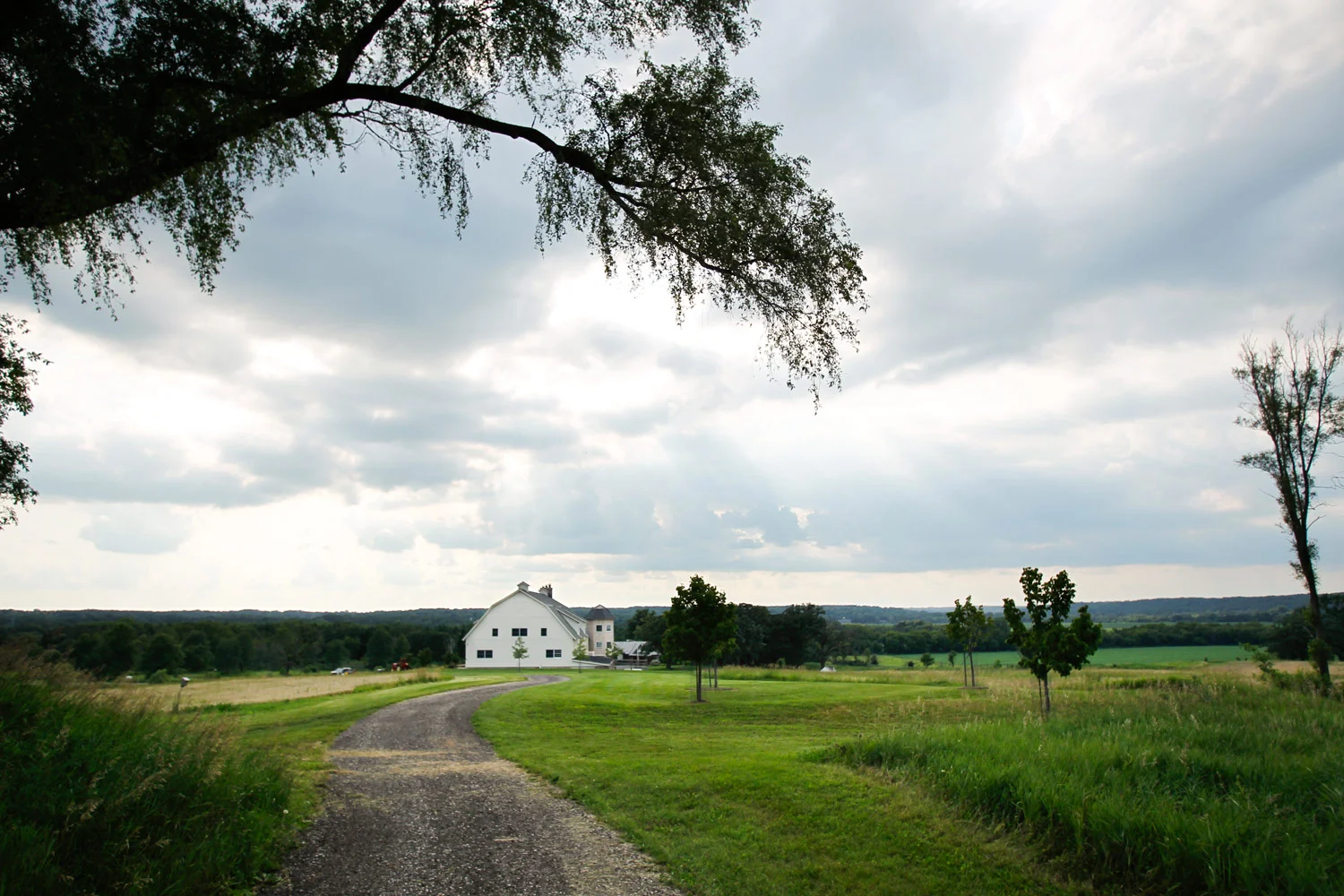 event-photographer-madison-wi-dane-county-gala-fundraiser-ruthie-hauge-photography-farm-to-table 01.jpg