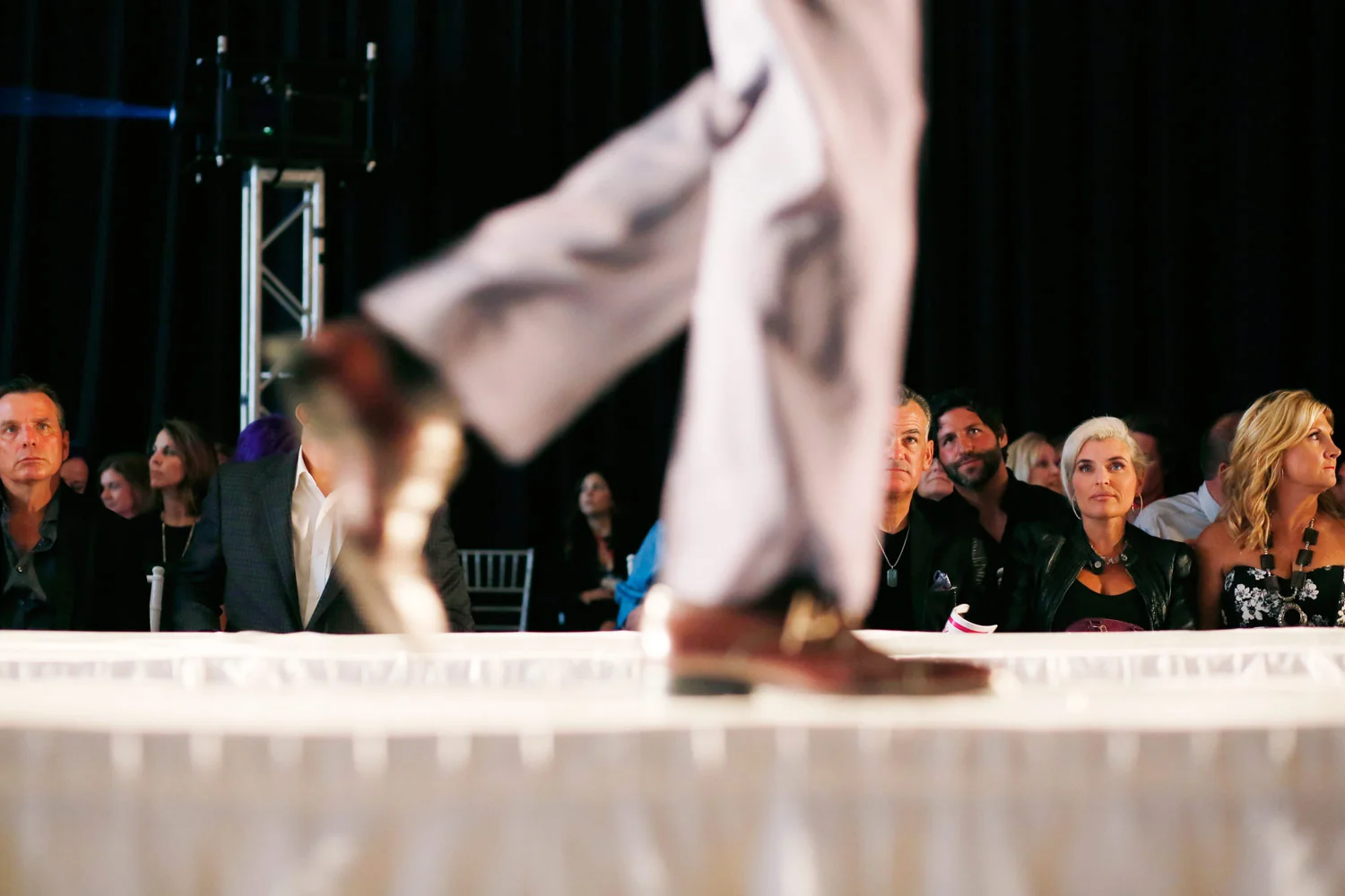 event-photography-gala-ruthie-hauge-fashion-show-dupage-airport-geneva-st-charles-jenny-mccarthy-donnie-wahlberg-20.jpg