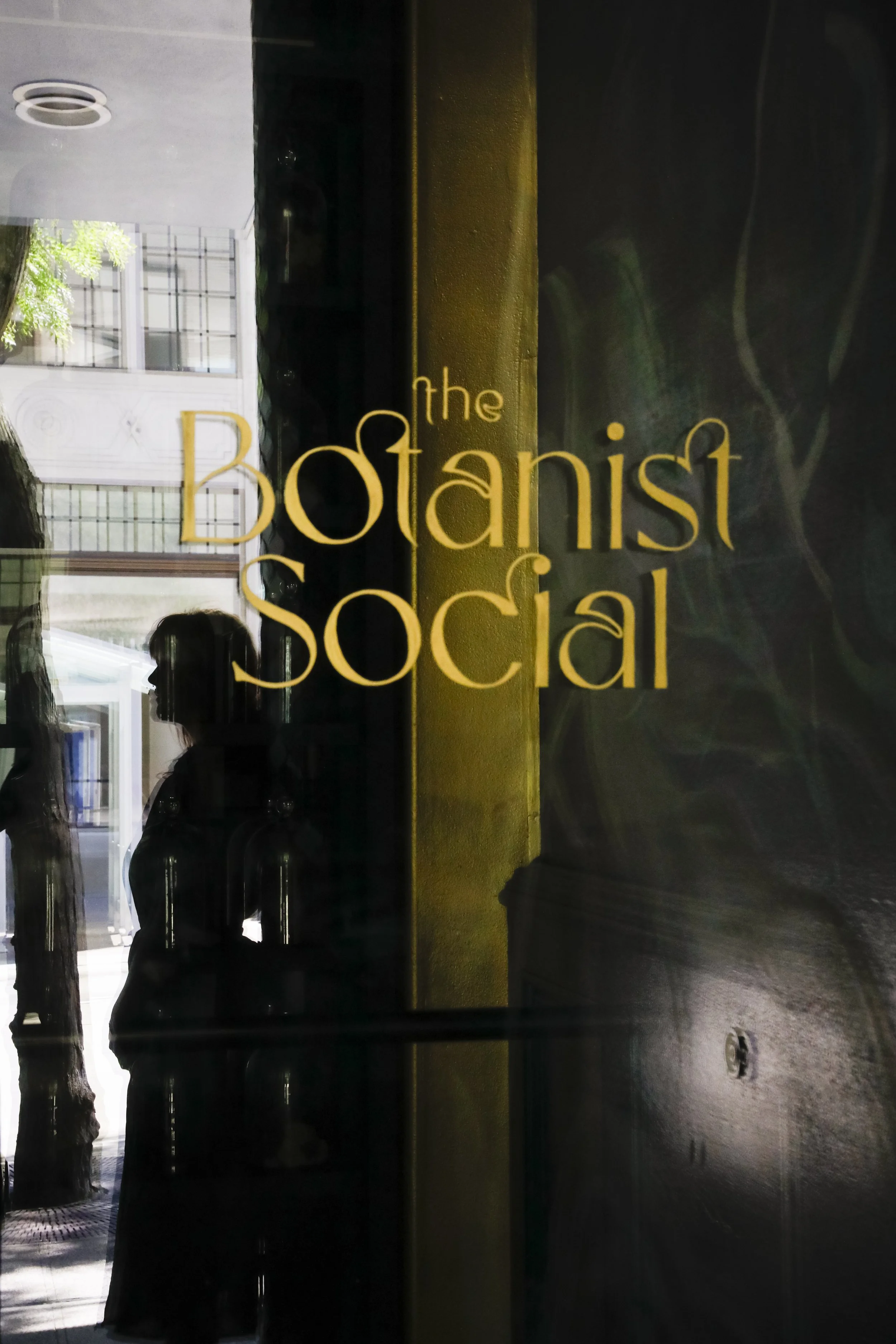 Artistic Photo Botanist Social.jpg
