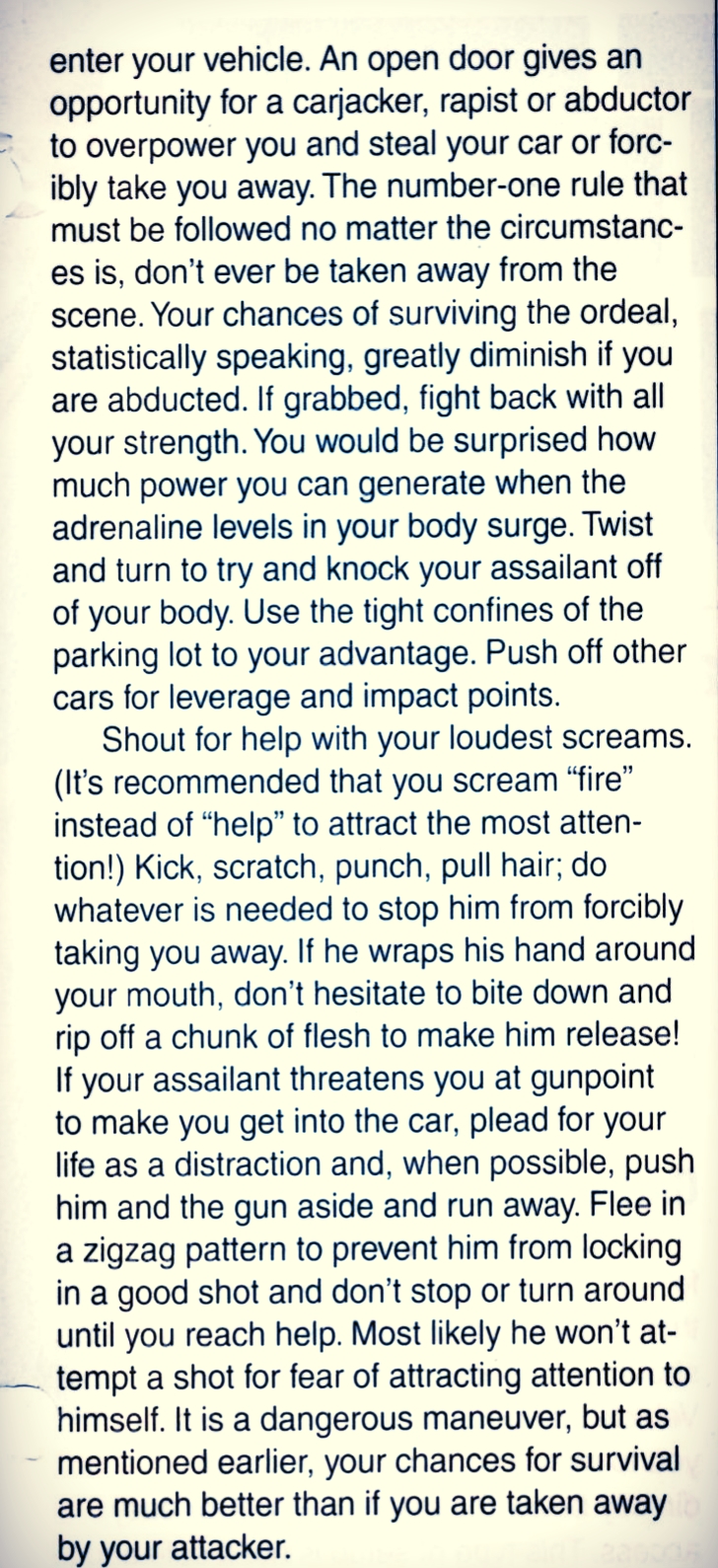 Vehical Safeguards p4.jpg