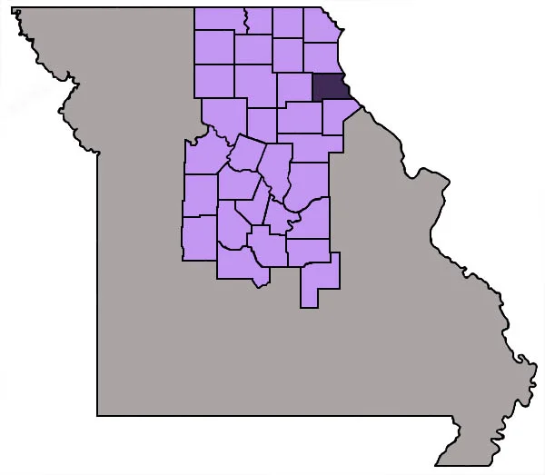 marion.jpg