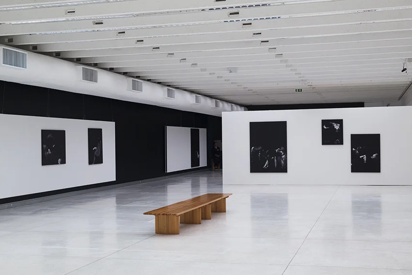 Exhibition View, Manoel Veiga