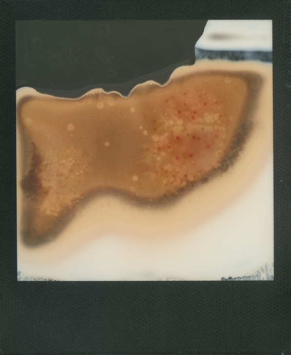 Forgotten Stories: Instant Abstractions © 2016 Ekaterina Selezneva