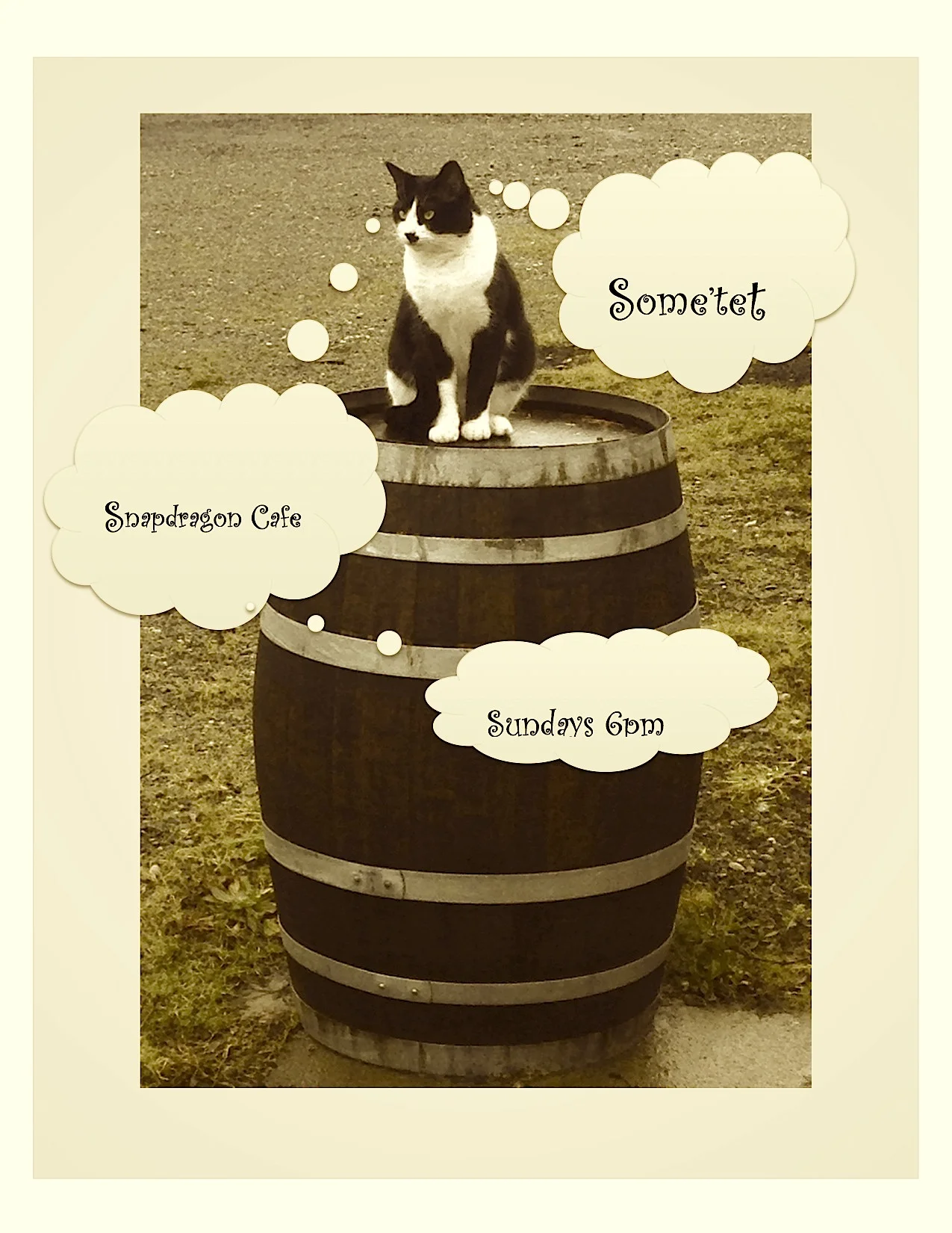 catpost.jpg