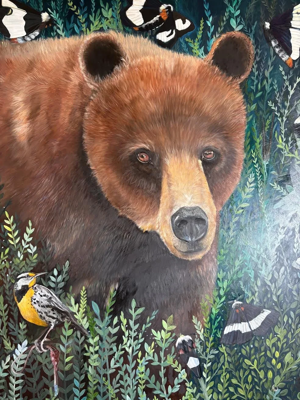 Bear with Meadowlark oil on wod 4.5 feet x 4 feet, Geyserville CA. $2200