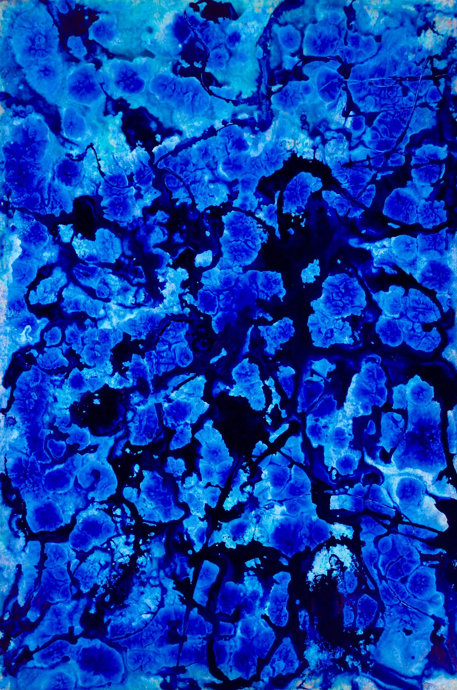 BRADY LEGLER 2017 Spring Thaw Acrylic 40x60 (availabe) on Canvas.jpg