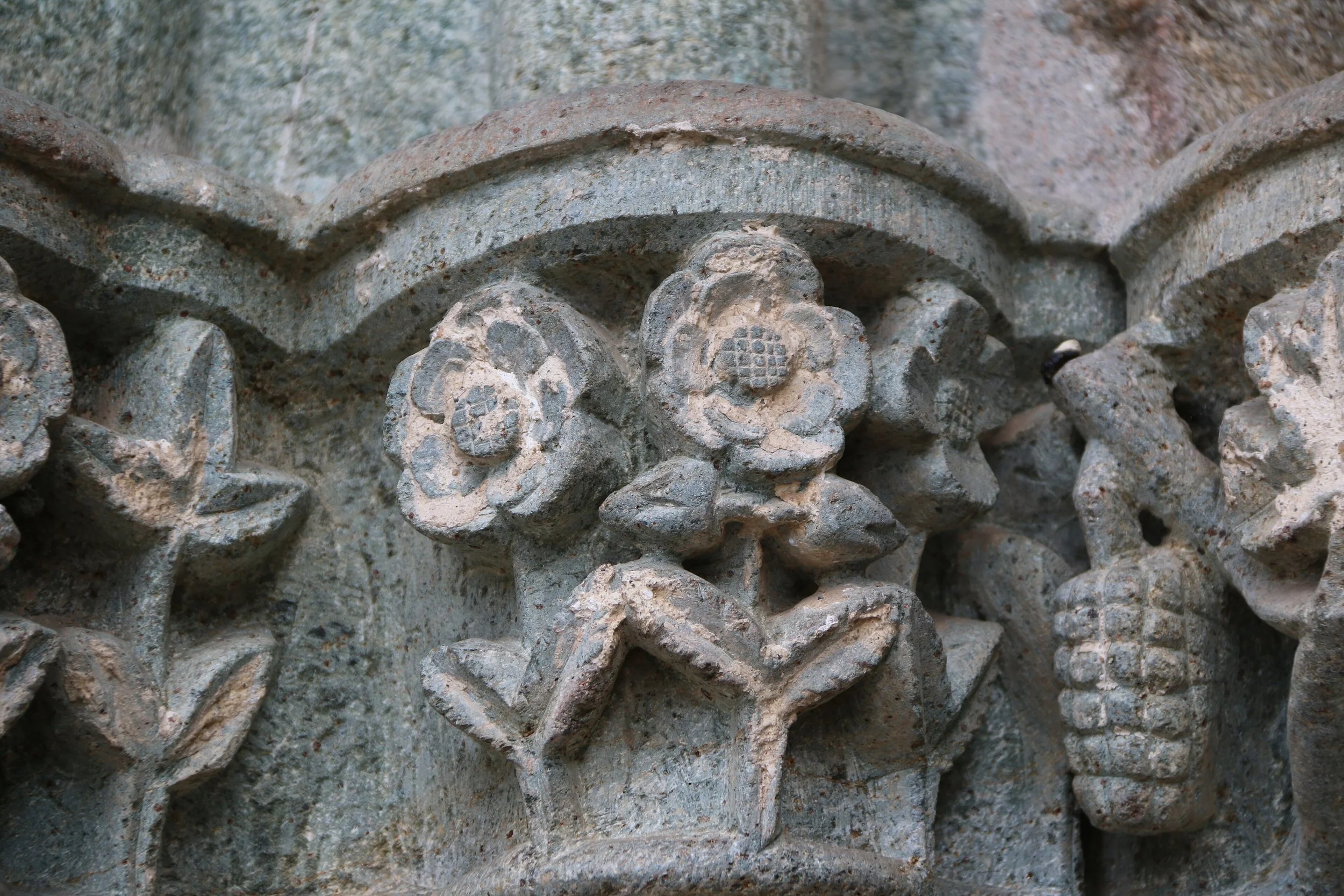 flowers-Sacra_di_San_Michele_0100_34 (1).jpg