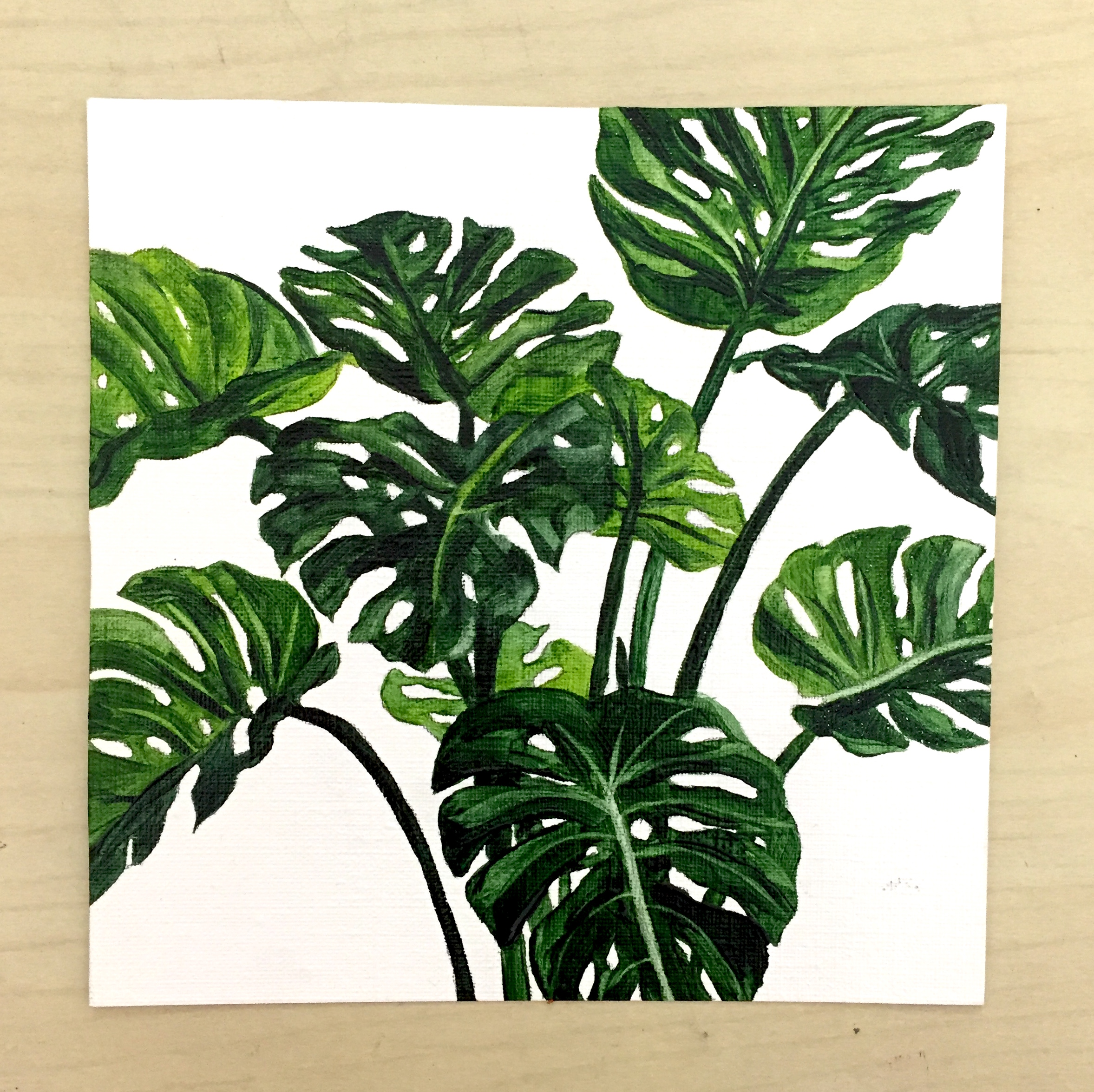 Cut Out Palm