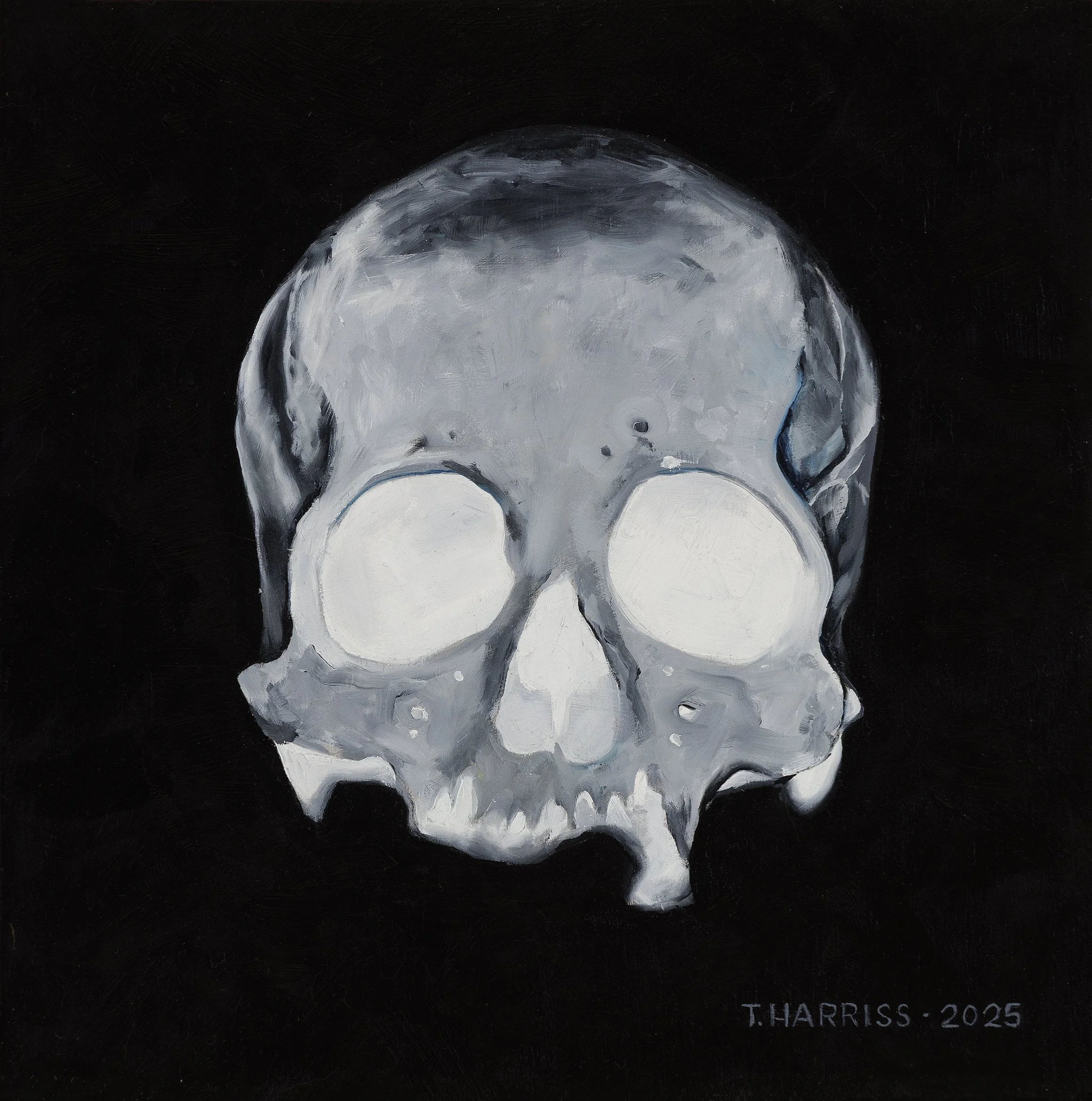   Skull 7   12” X 12” oil on panel 