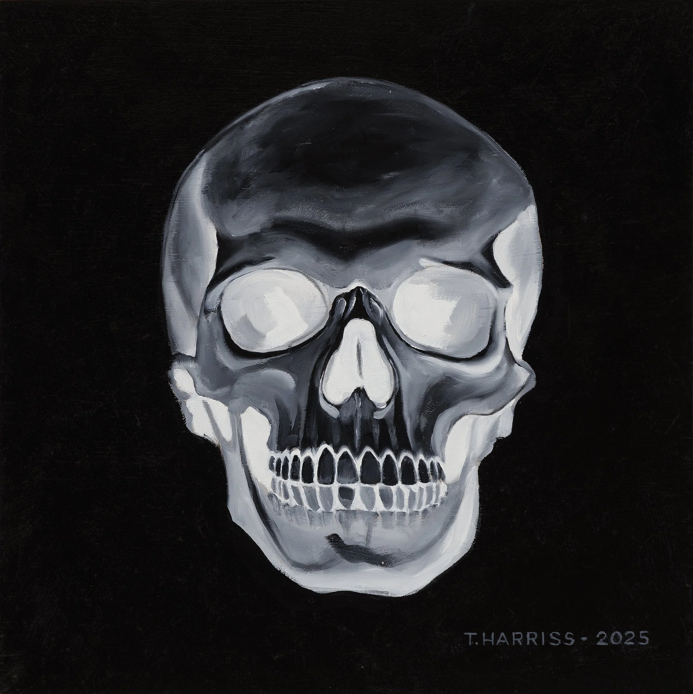   Skull 8   12” X 12” oil on panel 