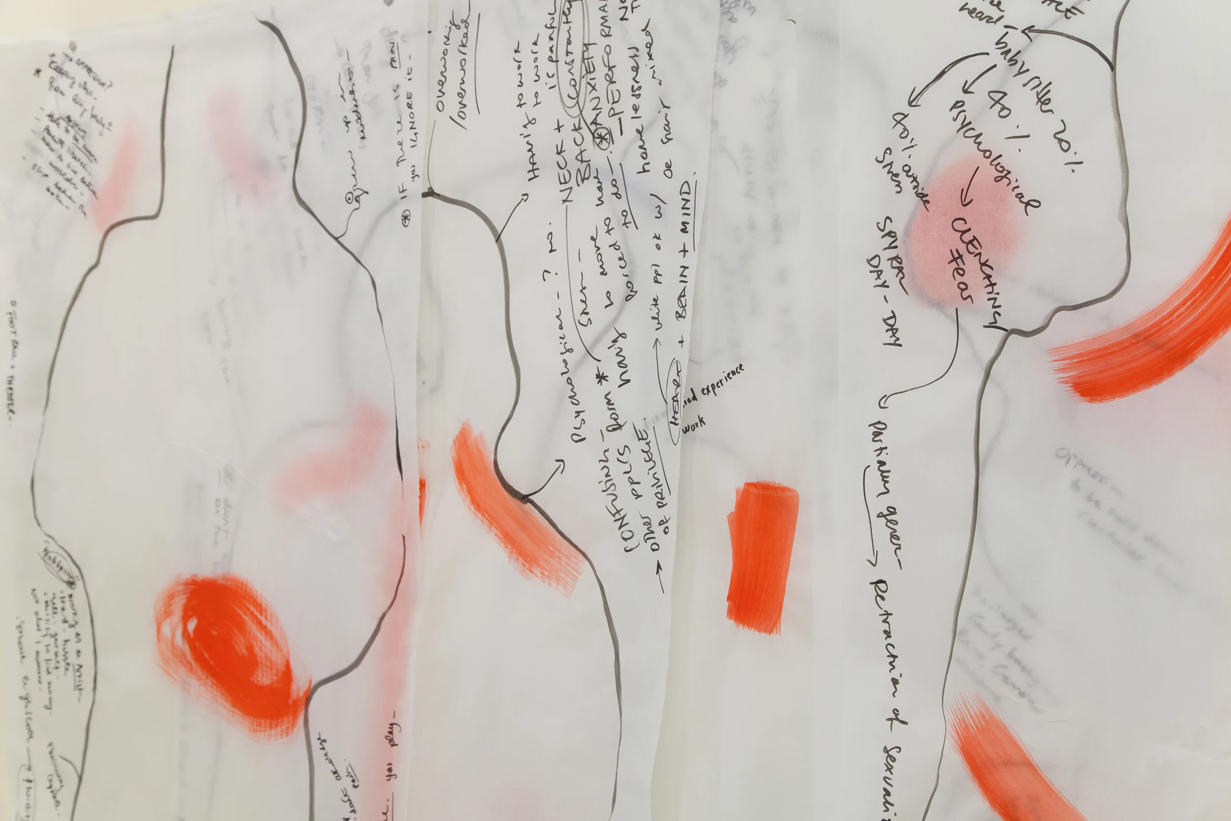 Adelita Husni-Bey. Part of the exhibition Movement-Break, detail view of installation at Kadist Foundation, 2016. Results of encounters on pain held with participants. Ink and pen on medical paper. Photograph courtesy of Husni-Bey.