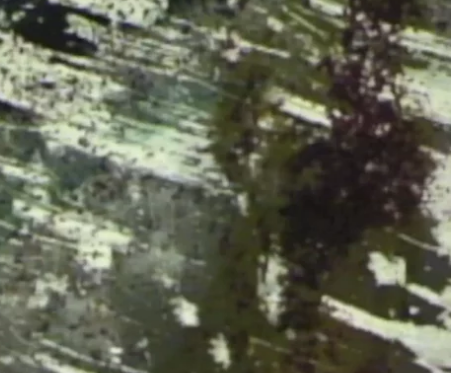 Dissolve: Visual Poem