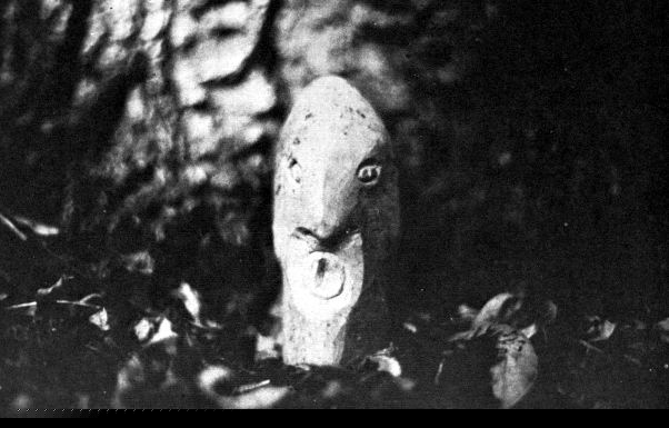untitled_surprise.jpg