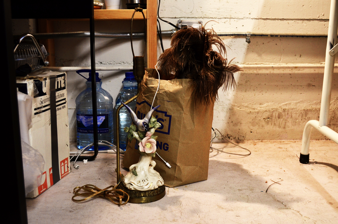 Various bird products in the studio of Joanne Easton , 2016. Photograph: Christopher Squier.