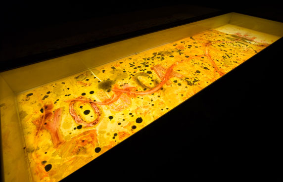 Anicka Yi, Grabbing at Newer Vegetables , 2015, plexiglass, agar, female bacteria and fungus, 84 1/2 by 24 1/2 inches, The Kitchen (New York), http://thekitchen.org/event/anicka-yi-you-can-call-me-f .