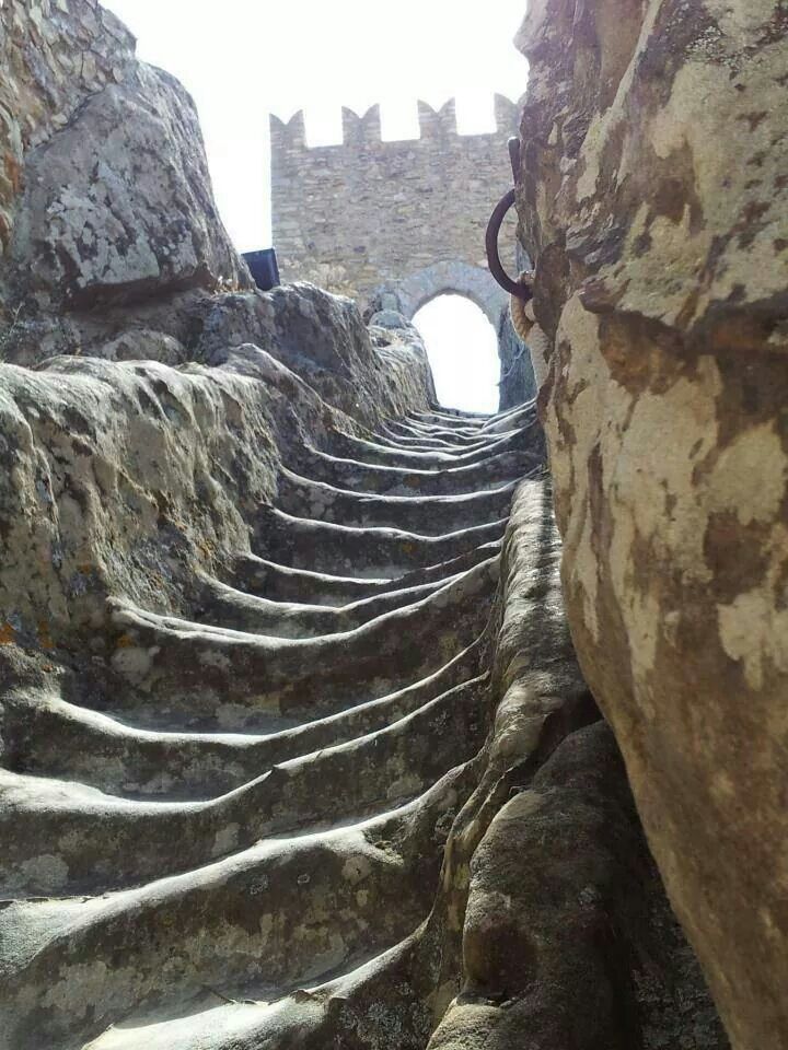  Sperlinger Castle Steps.&nbsp; https://s-media-cache-ak0.pinimg.com/736x/71/5b/0b/715b0ba7eeaf30a1b888d7325a49b2aa.jpg  
