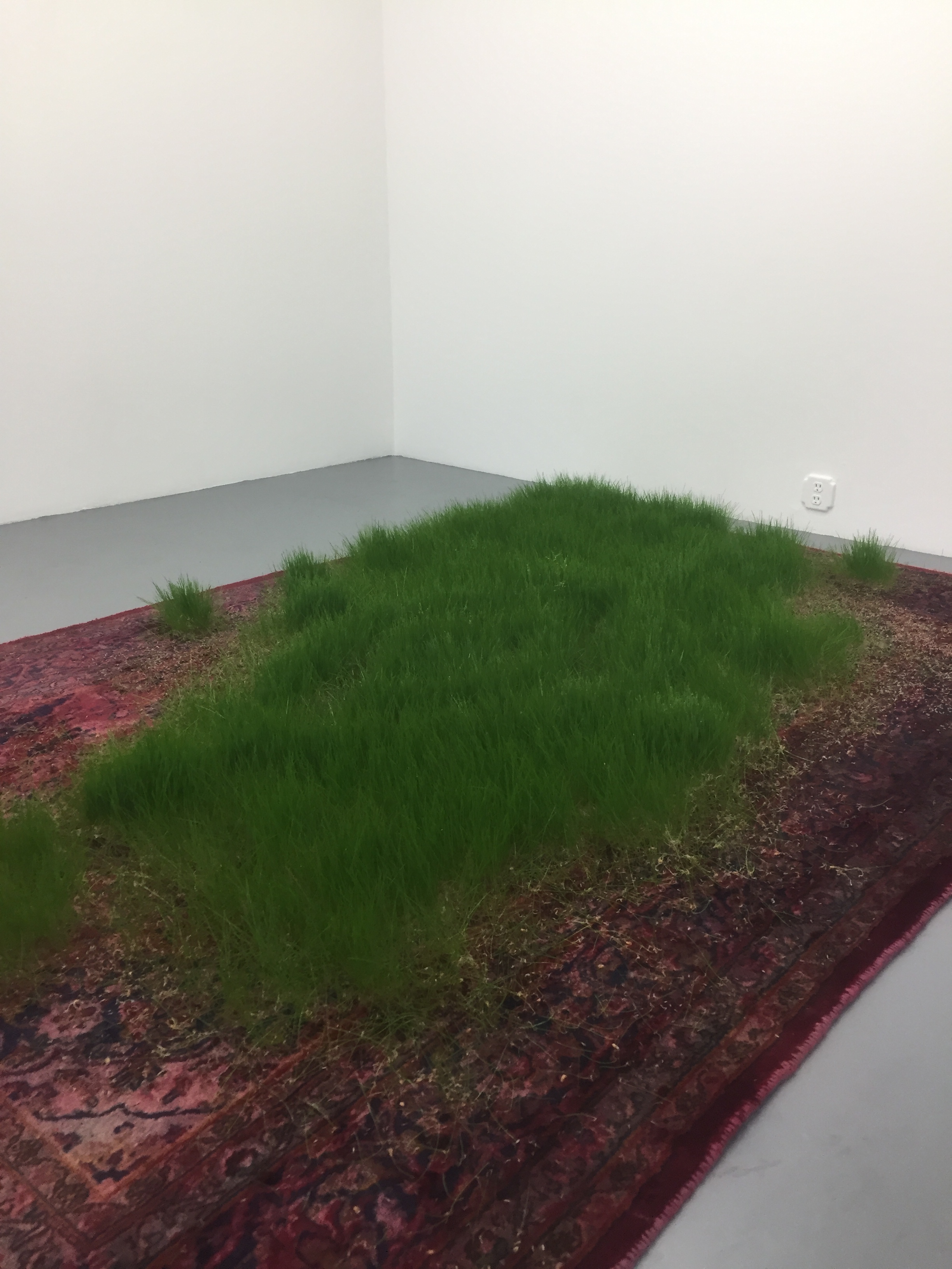 Martin Roth, Untitled (Persian Rug) at Capital Gallery, December 2016. Photograph by Christopher Squier.