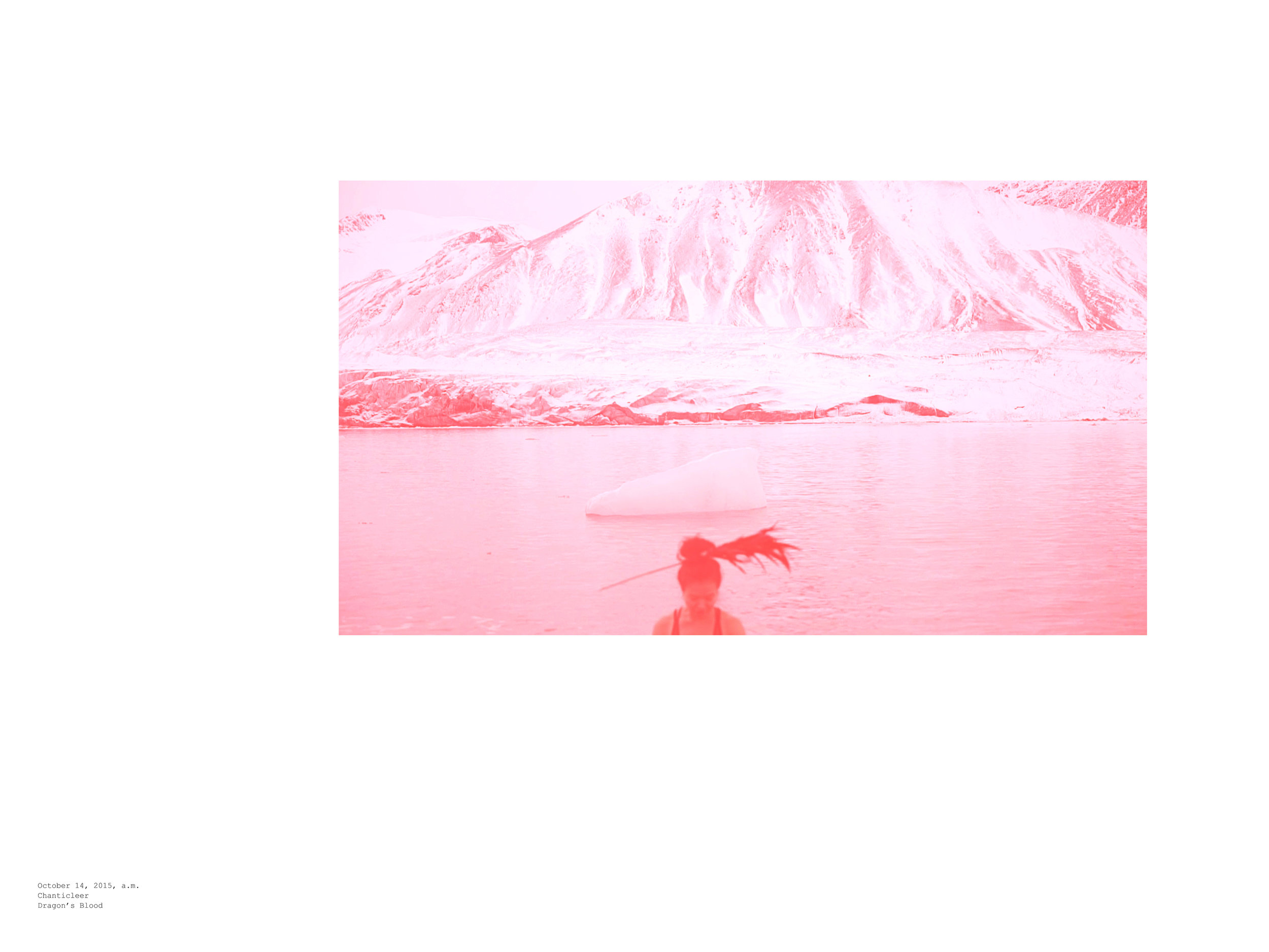 Wong Kit Yi, October 14, 2015, a.m. / Chanticleer / Dragon's Blood , 2015, Inkjet on archival paper, 32 x 24 inches. Private collection. Courtesy of the artist and P!