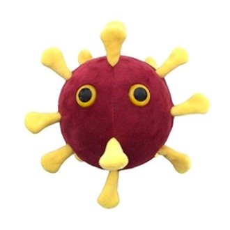 21. Coronavirus Covid-19 Plush Toy. Drew Oliver’s Giant Microbes.jpg